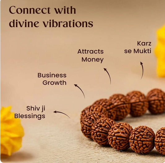 5 Mukhi Rudraksha Bracelet